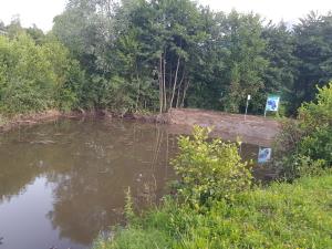 čiščenje bajerja v Preddvoru